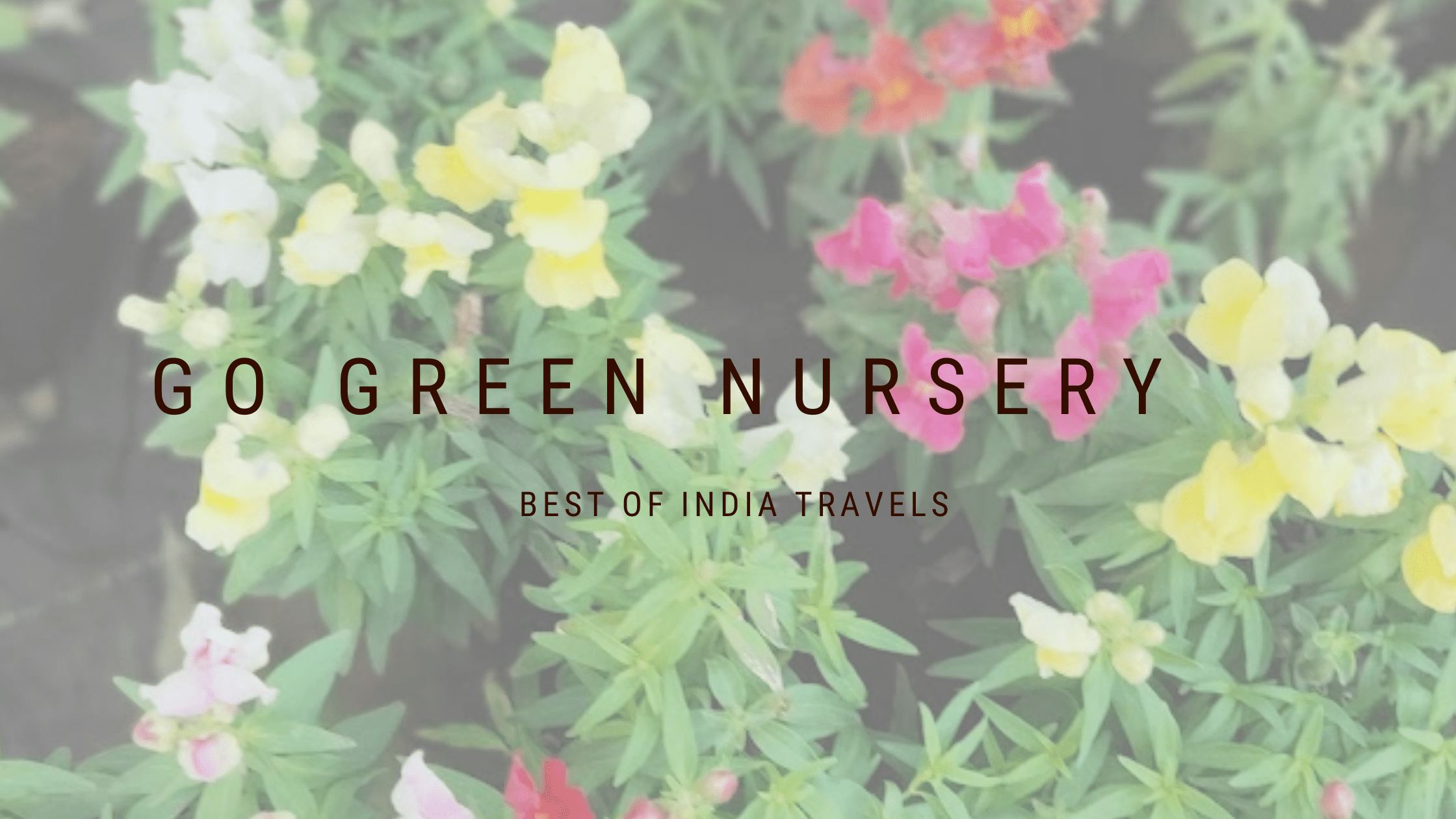 go green nursery