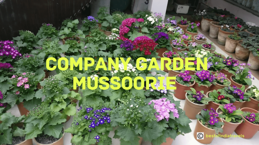Mussoorie Company Garden

