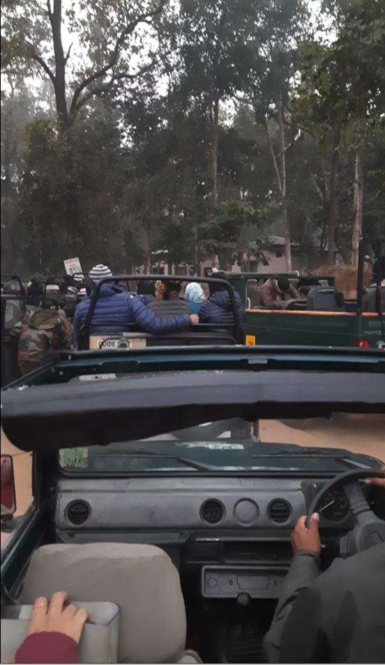Jeeps lined up at Kanha Kisli Gate