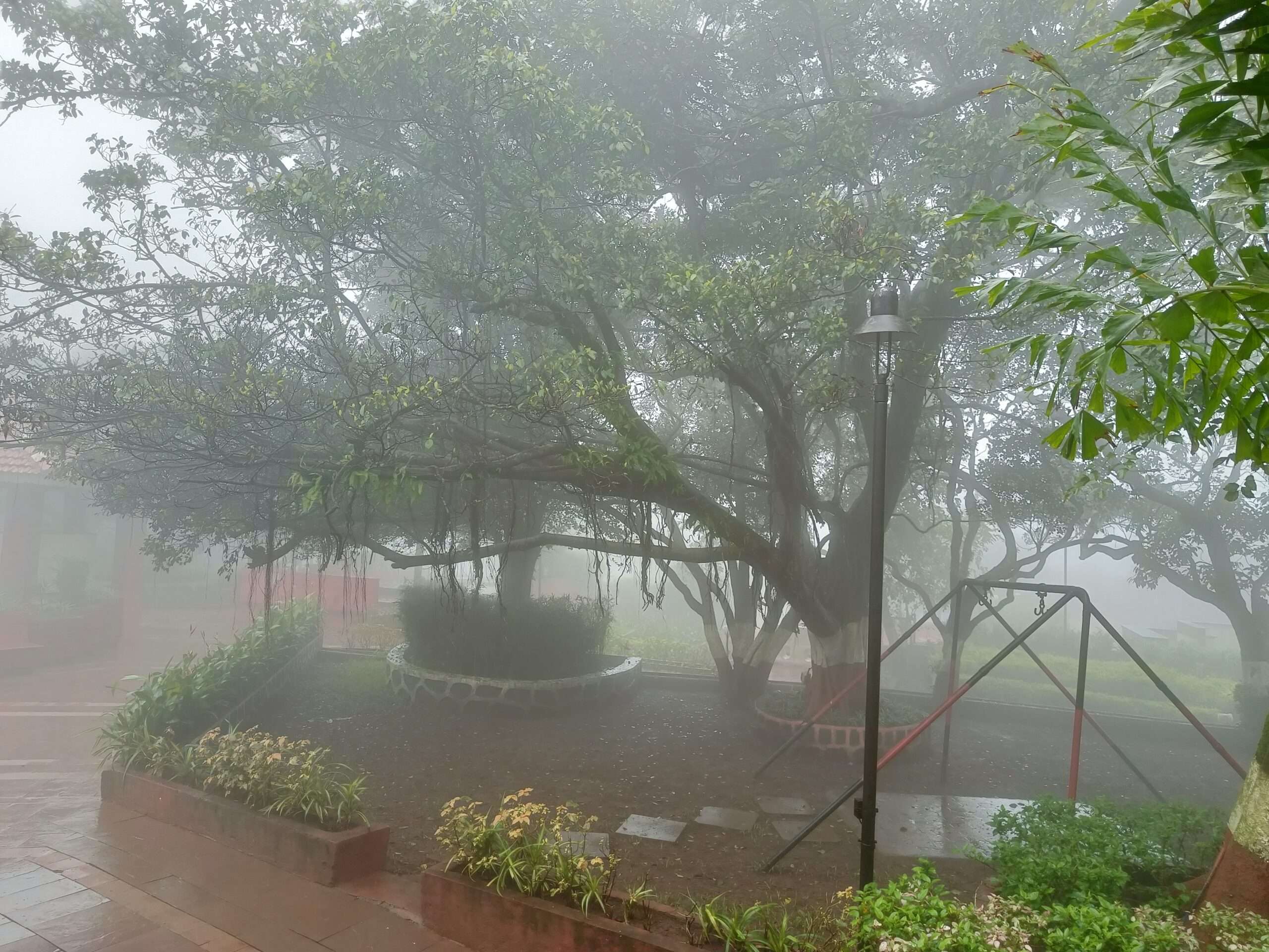 Monsoon climate at Matheran