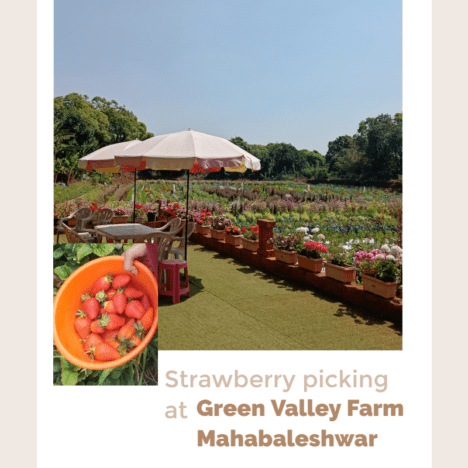 Club Mahindra Sherwood Mahabaleshwar – A Haven of Luxury & Modern Comforts