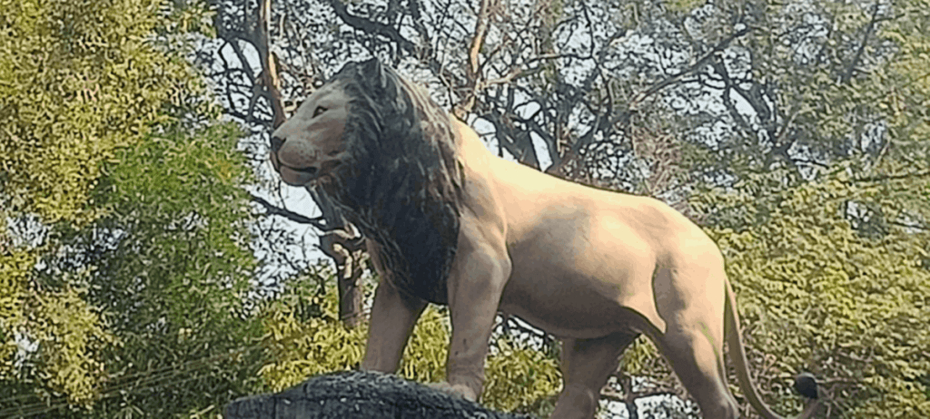 Lion Safari - Silvassa