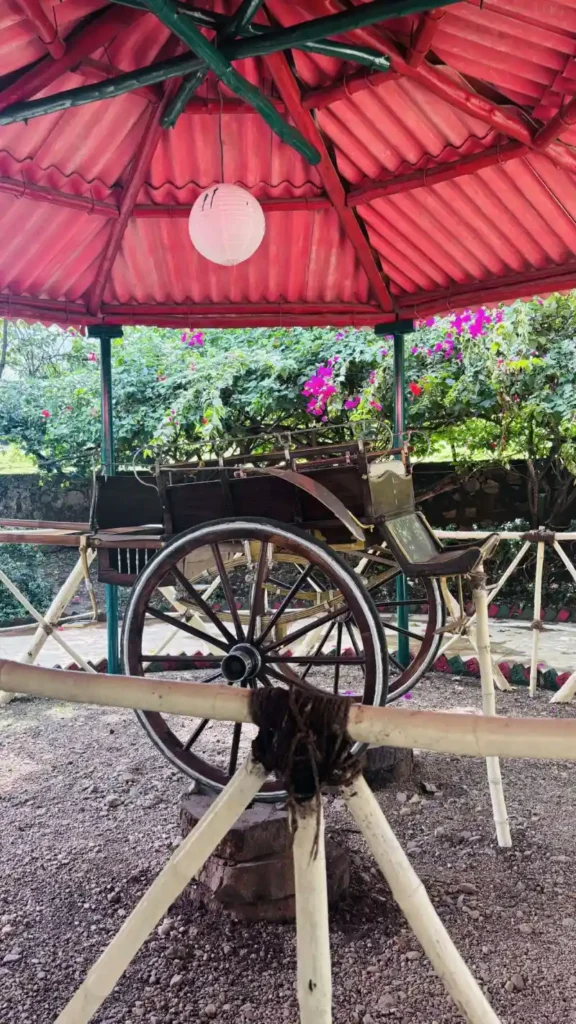 parsi-dairy-maharashtra