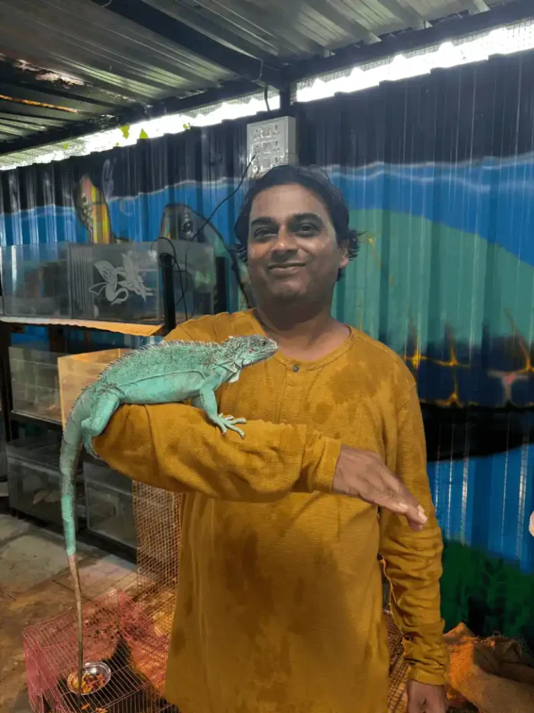 Iguana-peru chi wadi bird park nashik