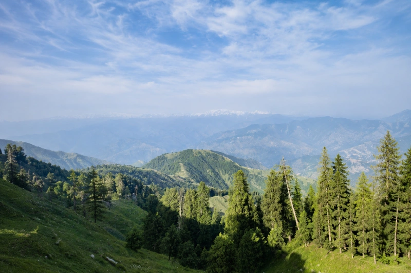 Scenic Himalayan mountain landscape with pine forests, lush green valleys, and snow-covered peaks near Dalhousie, Himachal Pradesh.