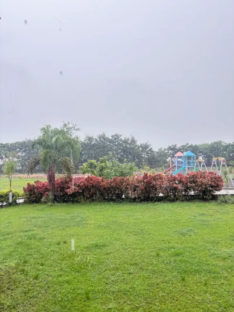 Outdoor playing area with swings and slides at MTDC Grape Park